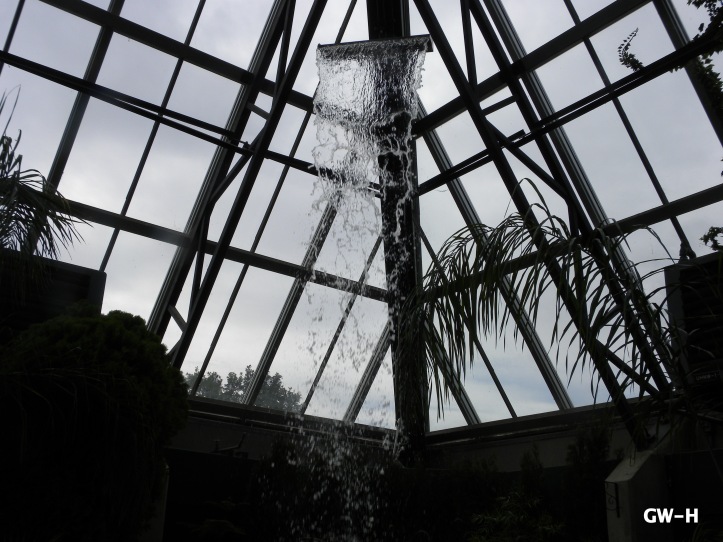 Water falling, Muttart Conservatory